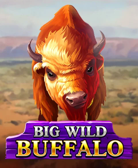 Play Big Wild Buffalo at Cashim Ashi Casino